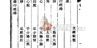 神灸经纶-清代吴亦鼎.pdf 神灸经纶-清代吴亦鼎.pdf