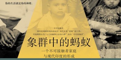 象群中的蚂蚁 象群中的蚂蚁